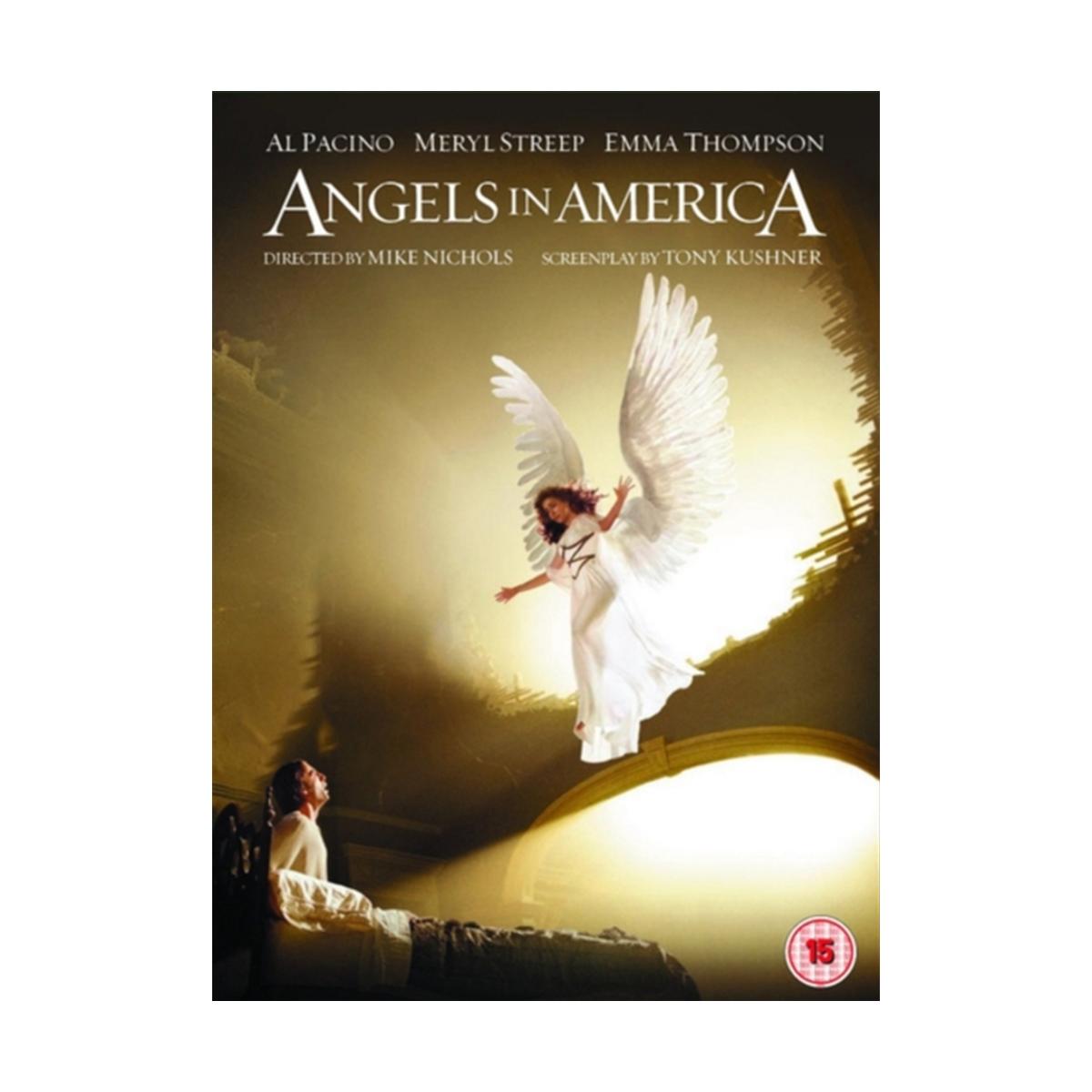 Angels in America - The Complete Miniseries [DVD]